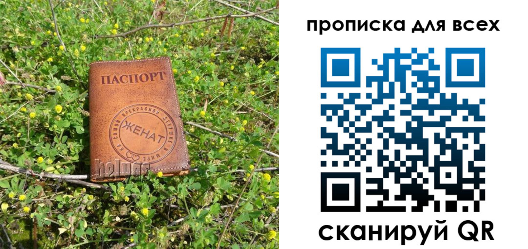 прописка поиск в Кабардино-Балкарии